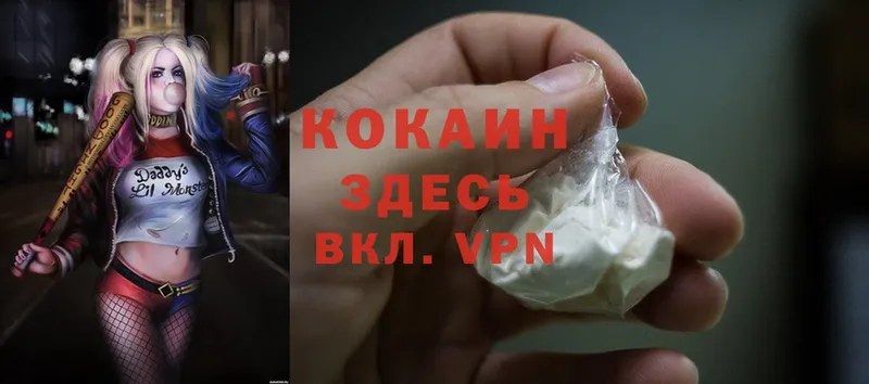 сколько стоит  Красноармейск  COCAIN FishScale 